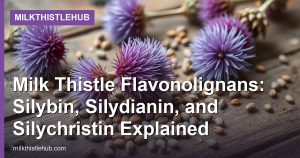 Milk Thistle Flavonolignans: Silybin, Silydianin, and Silychristin Explained