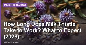How Long Does Milk Thistle Take to Work? What to Expect (2026)